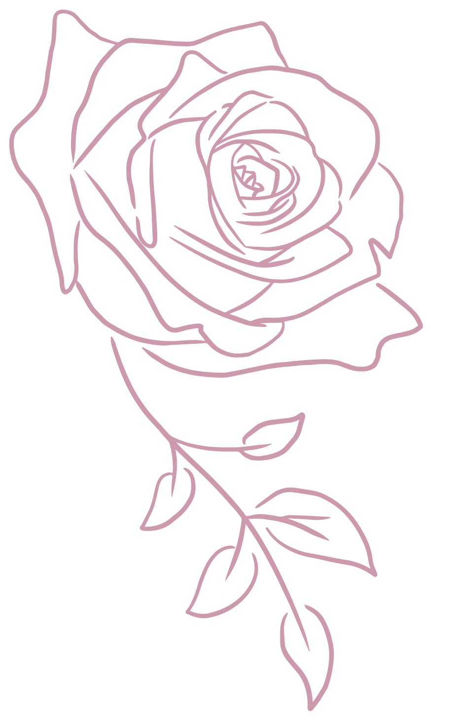 Rose decoration